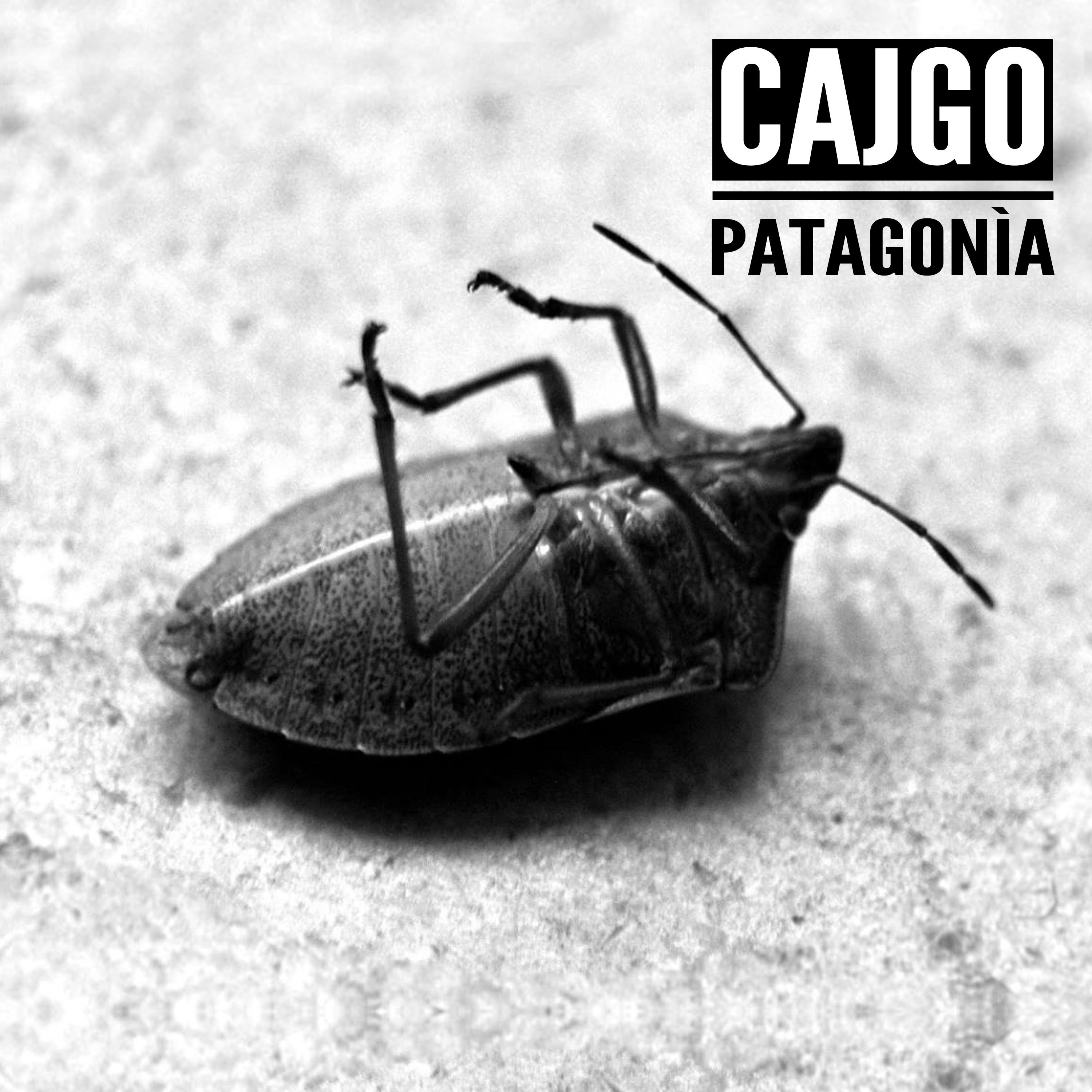 Patagonia - Nuovo album per i CAJGO